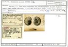 Karteikarte zum Syntyp von Anomalina suessi Karrer, 1862